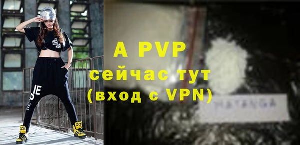 хмурый Гусев