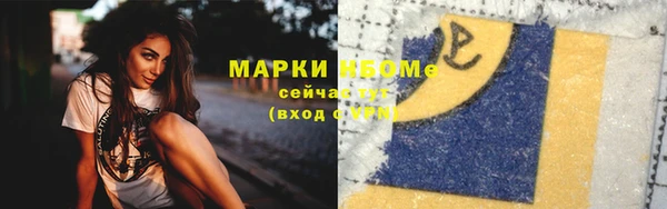 хмурый Гусев
