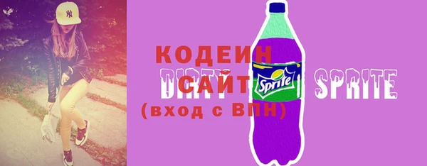 хмурый Гусев