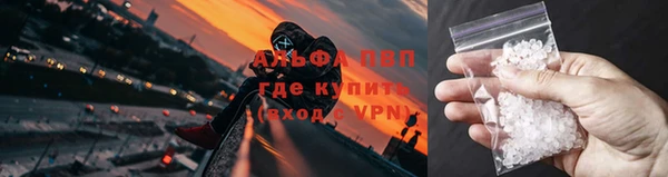 хмурый Гусев