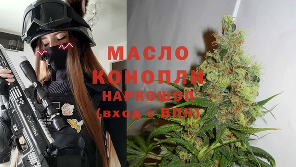 хмурый Гусев