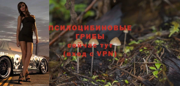 ПСИЛОЦИБИНОВЫЕ ГРИБЫ Щигры