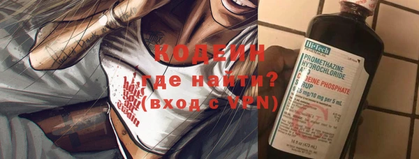 хмурый Гусев