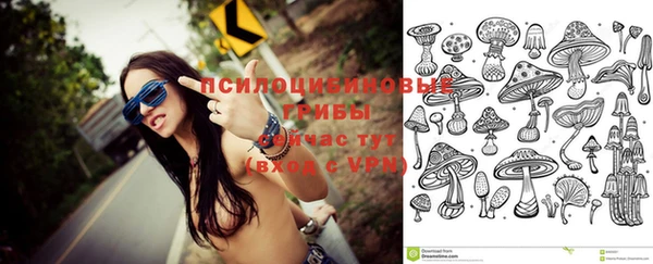 стафф Гусь-Хрустальный