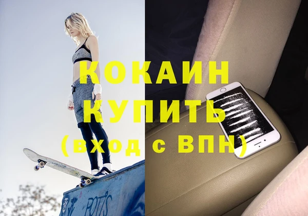 хмурый Гусев