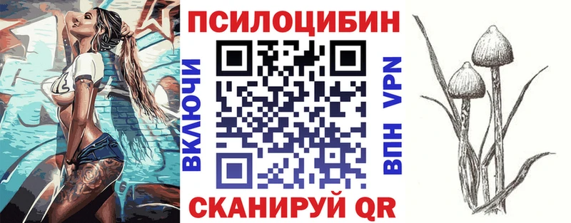 Купить закладки  Сельцо  Галлюциногенные грибы мухоморы 